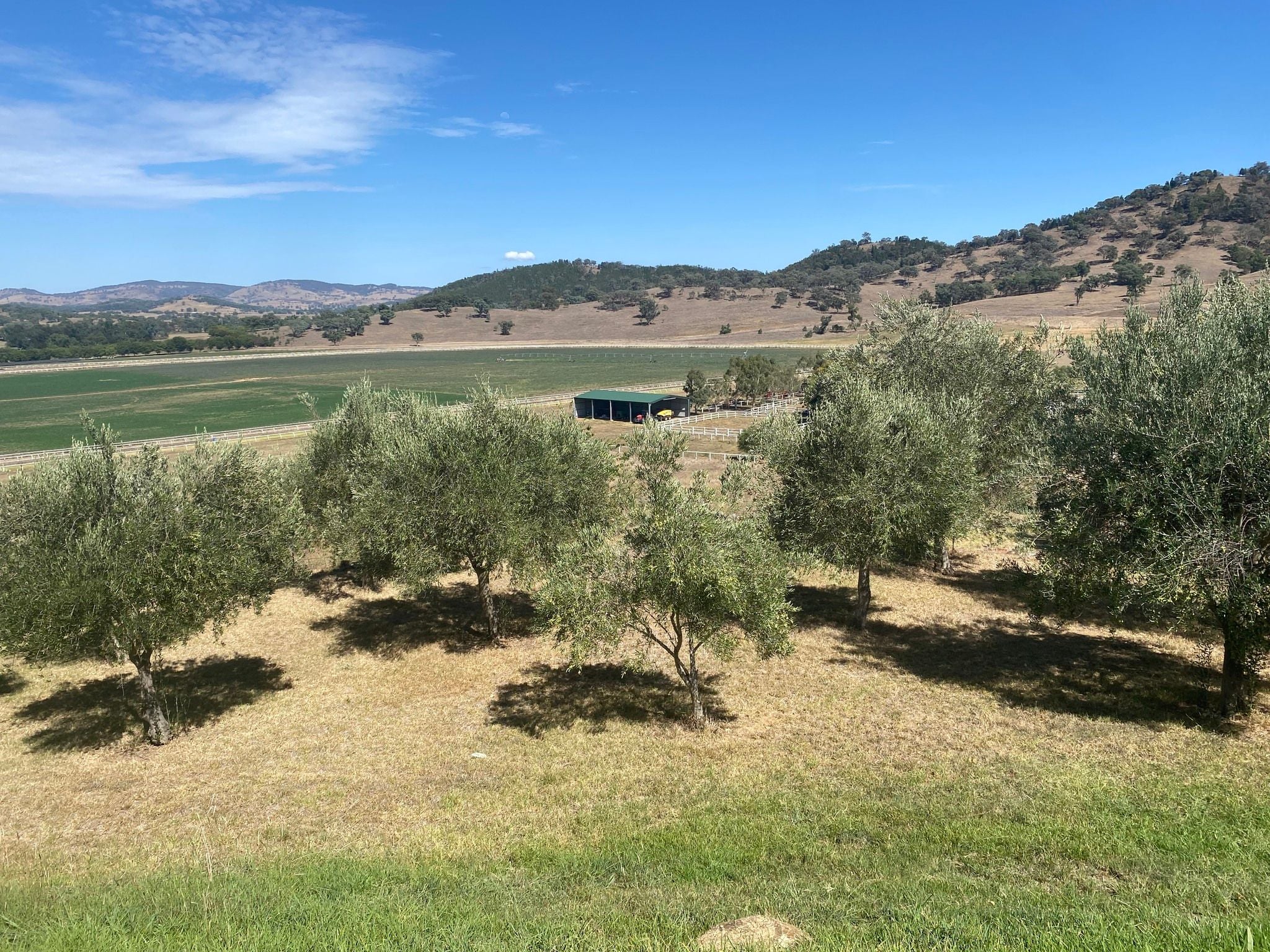 Dubbo Zoo 2025 Image -67de049083d29